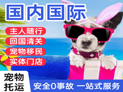 恩施许家坪航空邮寄国际宠物托运 【国